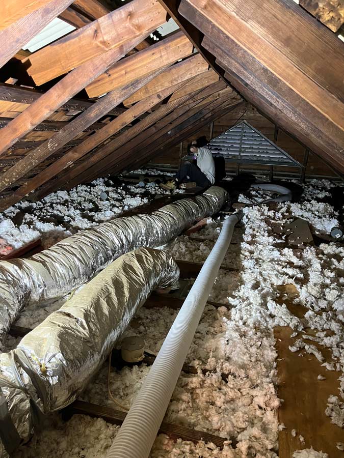 Insulation Removal